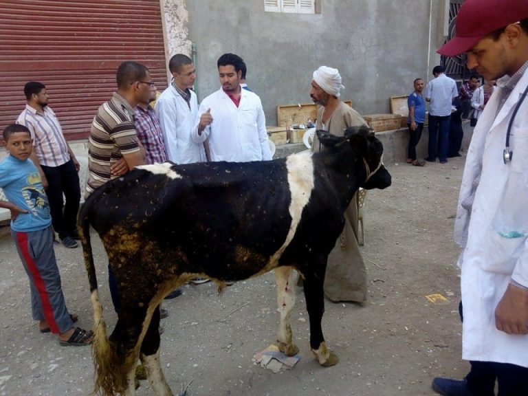 جامعة سوهاج توجه قافلة طبية مجمعة مجاناً لاهالي “حي راشد”
