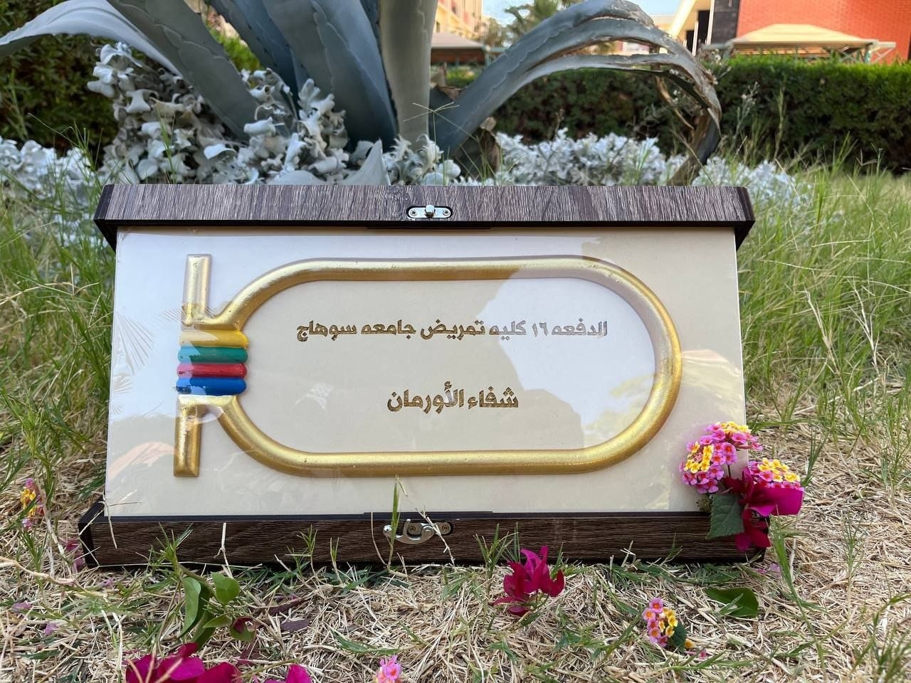 مستشفى الأورمان تهدى الدرع الرسمى لطلاب الدفعة 16